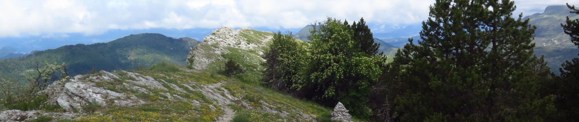 Tour Wandern Le Castellard-Mélan - Crêtes de Geruen - Photo