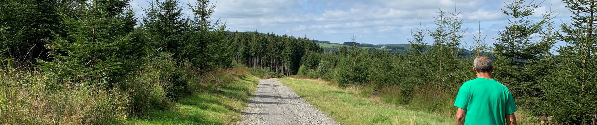 Randonnée Marche La Roche-en-Ardenne - 15km vers d’origine - Photo