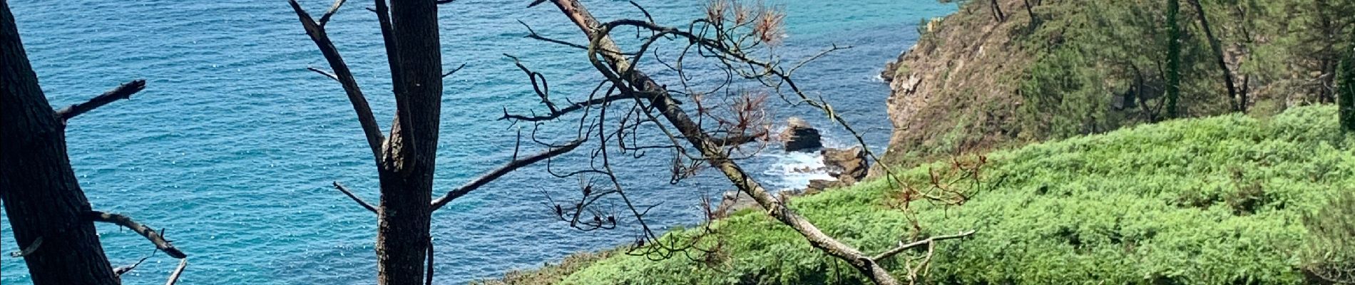 Tour Wandern Crozon - Cap de la Chèvre  - Photo