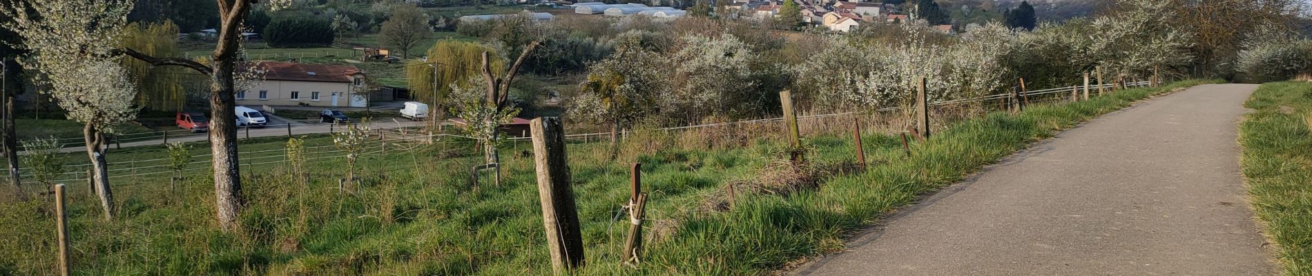 Percorso Bici da strada Saulny - semecourt - Photo