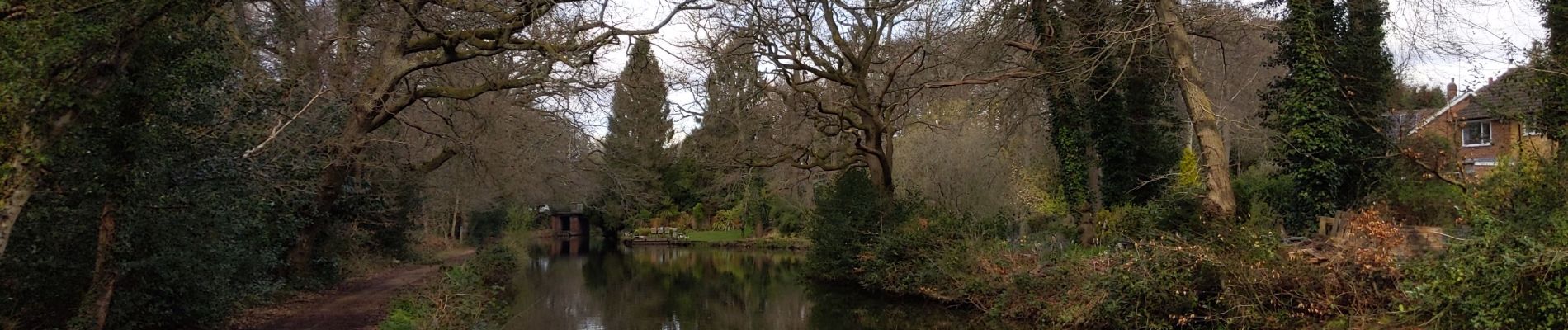 Excursión Senderismo Woking - promenade le long du canal Woking -Brookwood - Photo