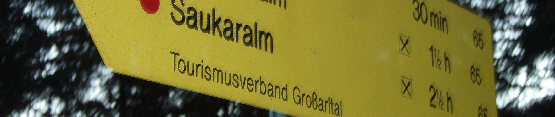 Tour Zu Fuß Großarl - Wanderweg 65 - Photo