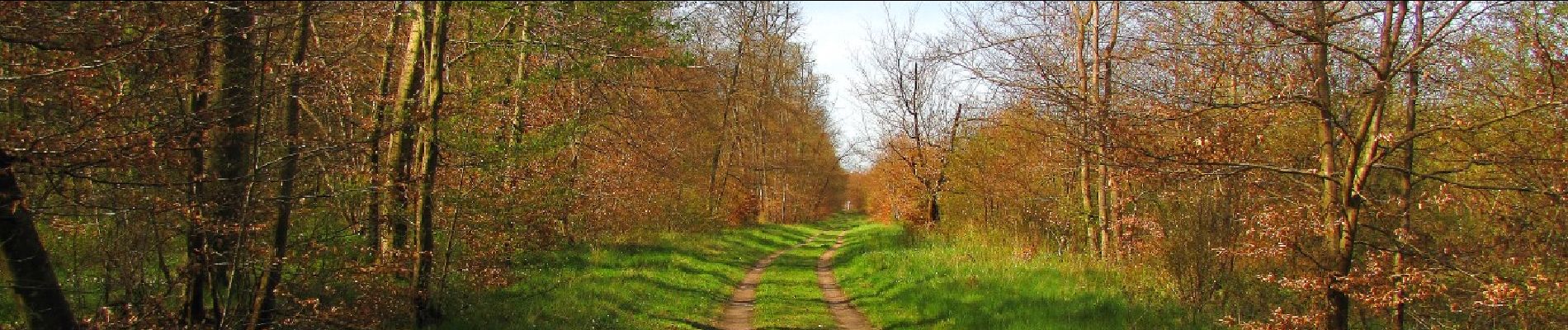 Punto di interesse Compiègne - Unnamed POI - Photo