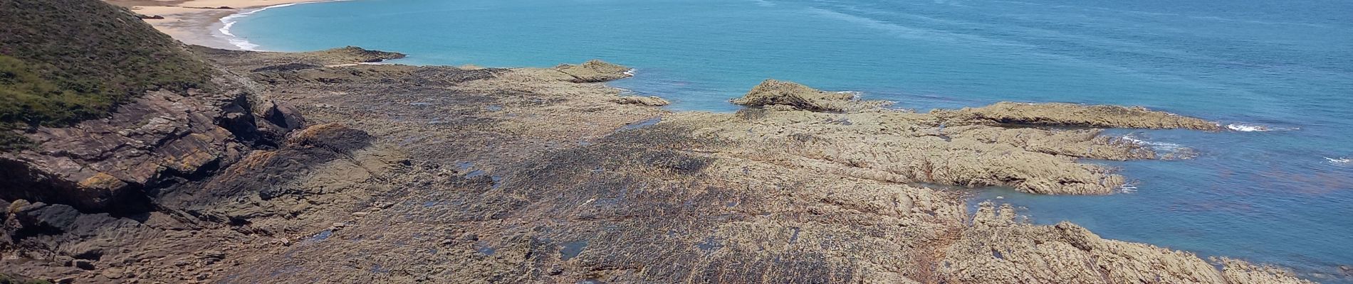 Trail Walking Erquy - Cap d'Erquy 3.7.23 - Photo