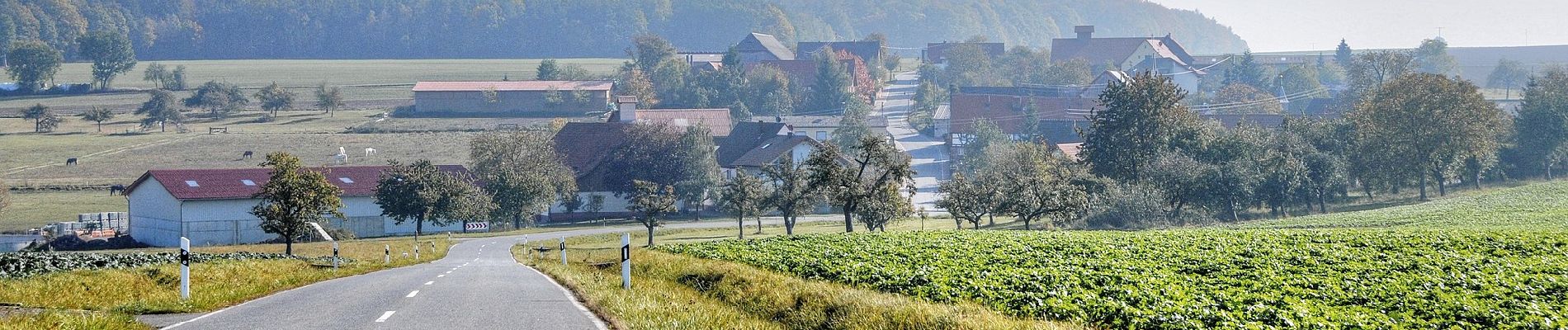 Randonnée A pied Eichenbühl - Rundwanderweg Eichenbühl Guggenberger Höhe 3: Scheidberg-Weg - Photo