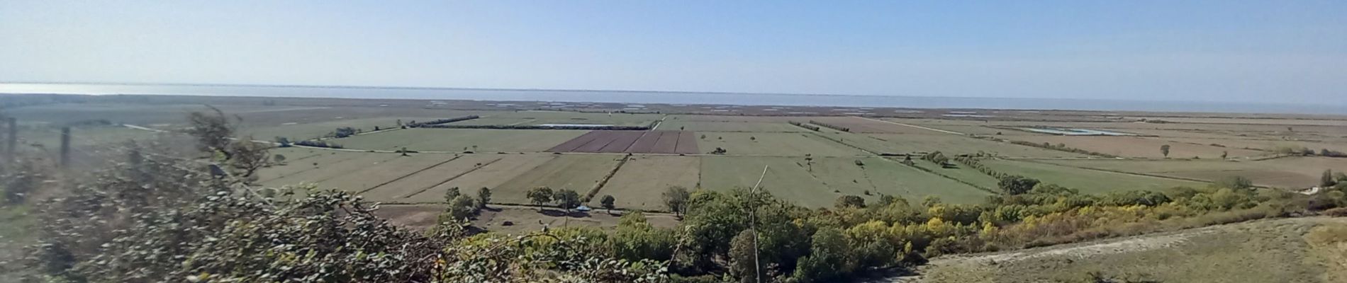 Randonnée Marche Saint-Fort-sur-Gironde - st fort 2 - Photo