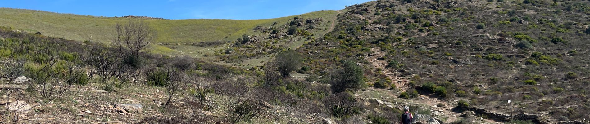 Tour Wandern Roses - Plat des gâtte depuis le dolmen (aller simple) - Photo