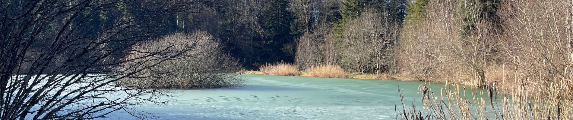 Tour Wandern Chaux-des-Crotenay - Autour du plateau de chaux des Crotenay - Photo