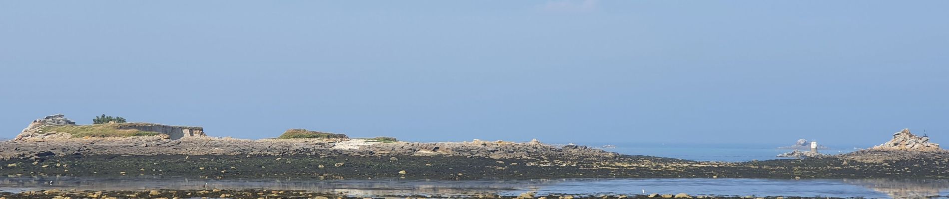 Tour Wandern Roscoff - Roscoff - Photo