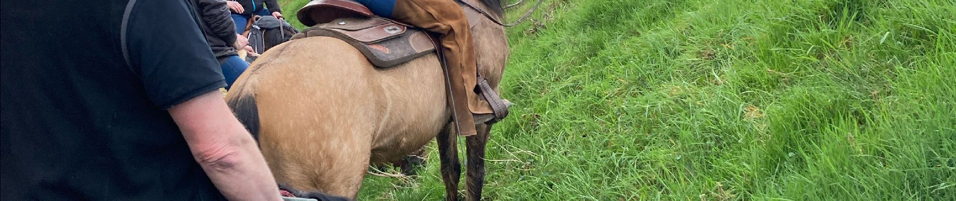 Trail Horseback riding Baccarat - Vendredi 8 mars 23 chez Alex Tivio  - Photo