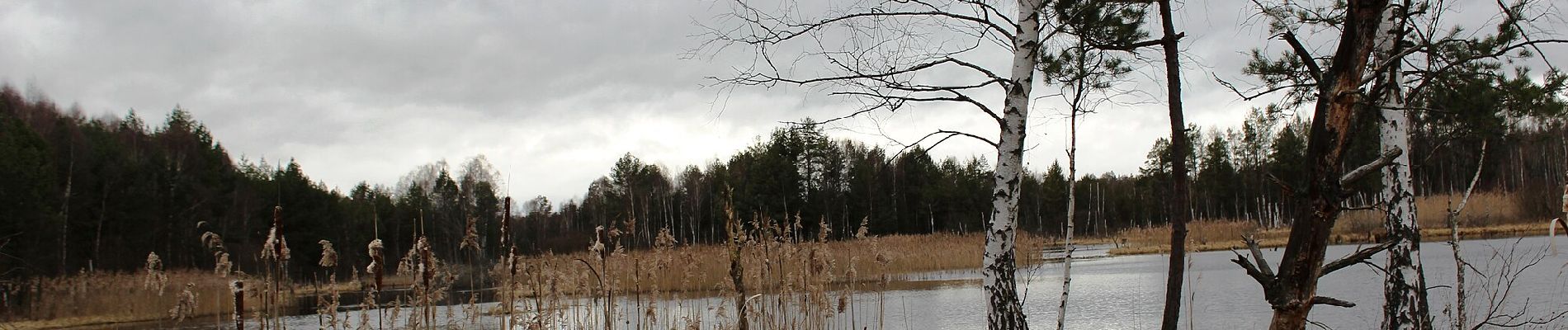 Percorso A piedi Mažice - Mažická naučná stezka - Photo