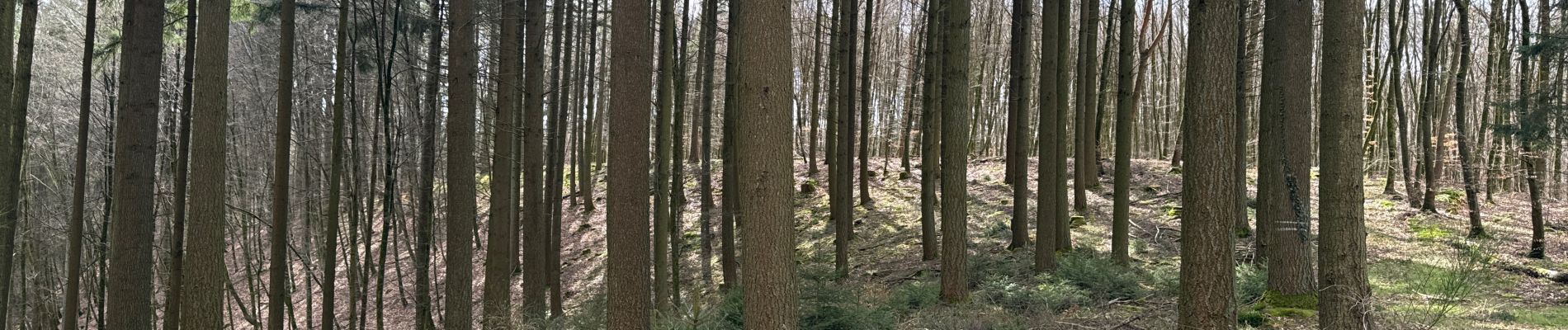 Tocht Noords wandelen Habscht - Grillplaz - Photo