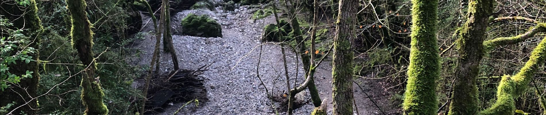 Randonnée Marche Sauclières - Sauciers le causse de campestre  - Photo