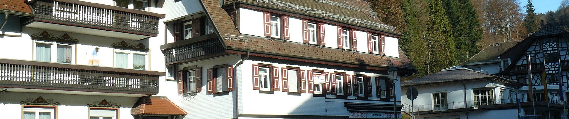 Tour Zu Fuß Bad Peterstal-Griesbach - Trogloch-Rohrenbacher Blick - Photo