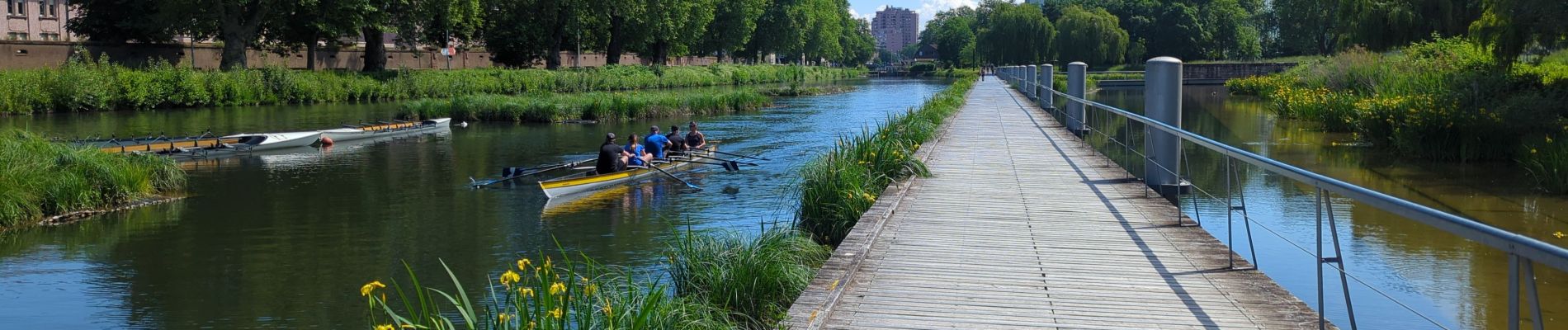 Trail Walking Strasbourg - La ceinture verte de Strasbourg - Photo