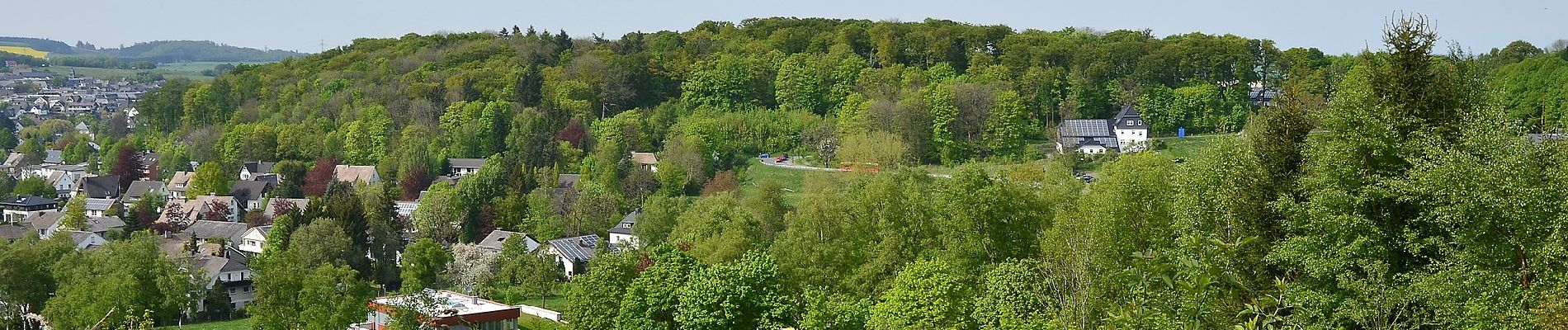 Tour Zu Fuß Brilon - Brilon B2 - Photo