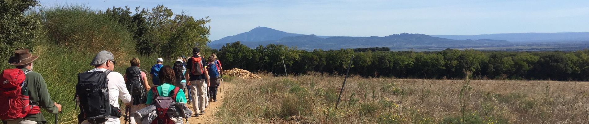 Randonnée Marche Sérignan-du-Comtat - PF-Sérignan-du-Comtat - Le Bois de la Montagne - Photo