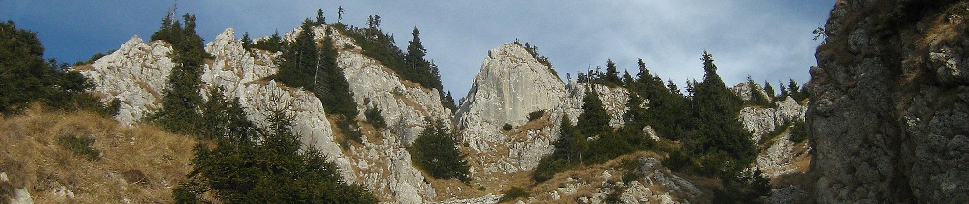 Tocht Te voet Onbekend - Cabana Curmătura-Vf. Piatra Mică-traseul BG - Photo