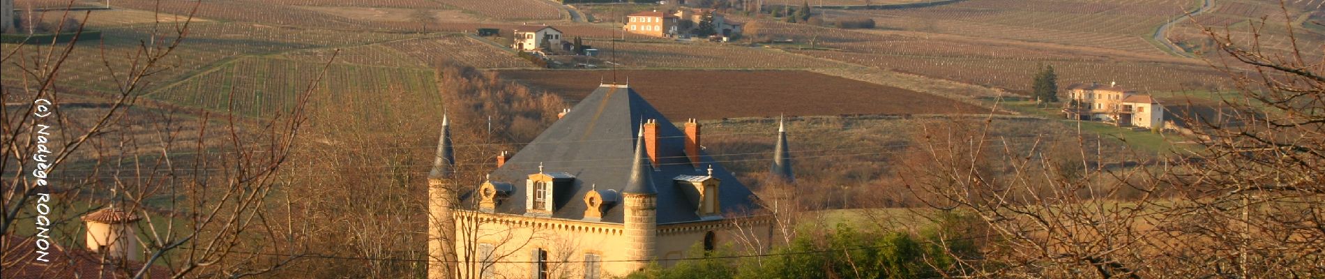 POI Val d'Oingt - Château et pigeonnier La Forest - Saint-Laurent d'Oingt - Photo