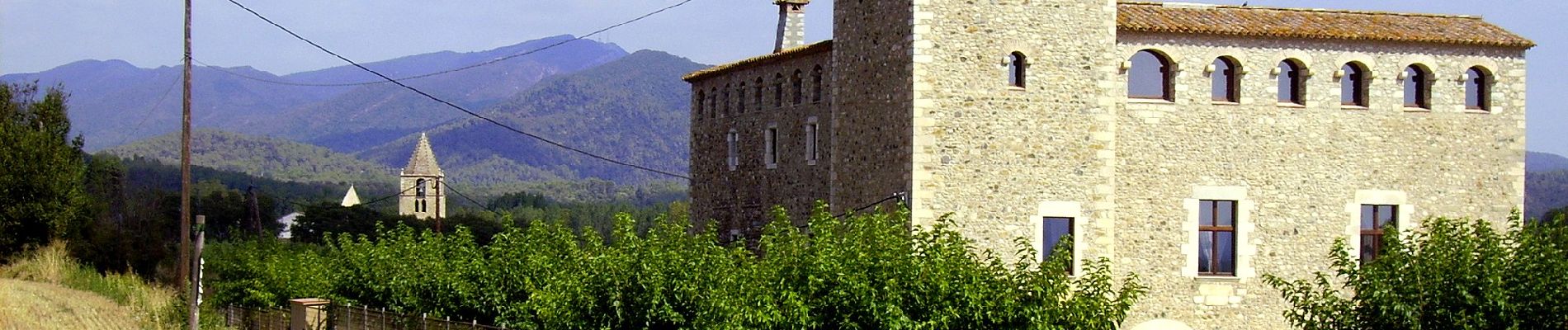 Trail On foot Sant Gregori - De Sant Gregori a Sant Grau - Photo