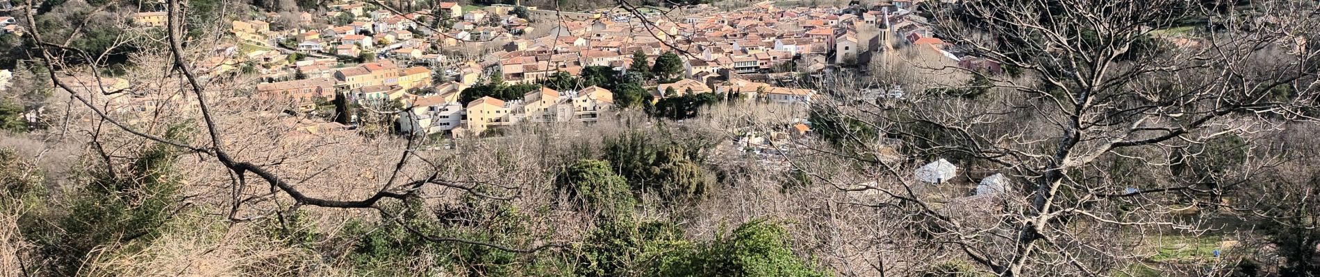 Trail Walking Collobrières - Les Maures-Collobrières-15-03-23 - Photo