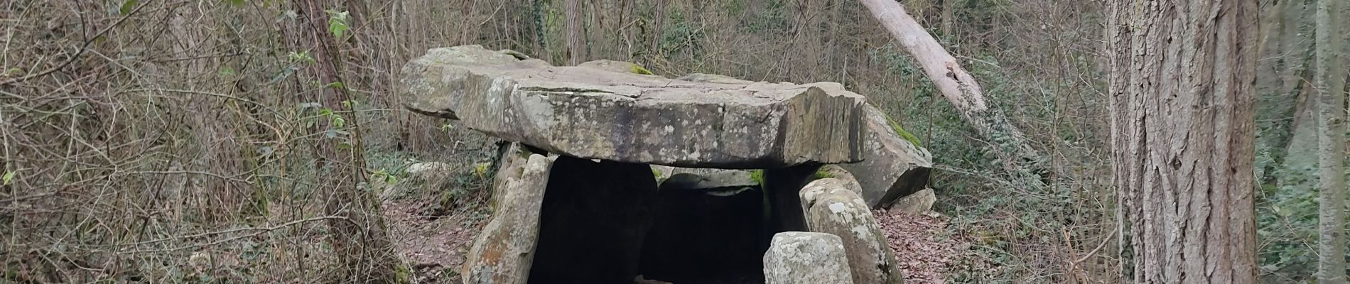 Excursión Senderismo Lardy - Au grès de la Juine - Photo