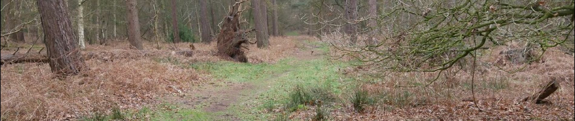 Trail On foot Breckland - Desert Rats Memorial Walk  - Photo