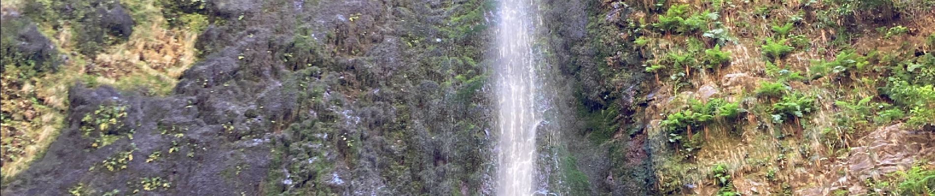 Randonnée Marche São Roque do Faial - Le chaudron vert  - Photo