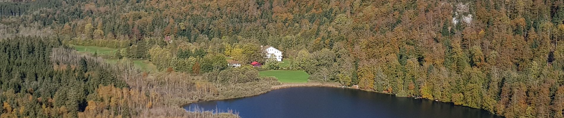 Tocht Stappen Bonlieu - lac de bonlieu et belvédère - Photo