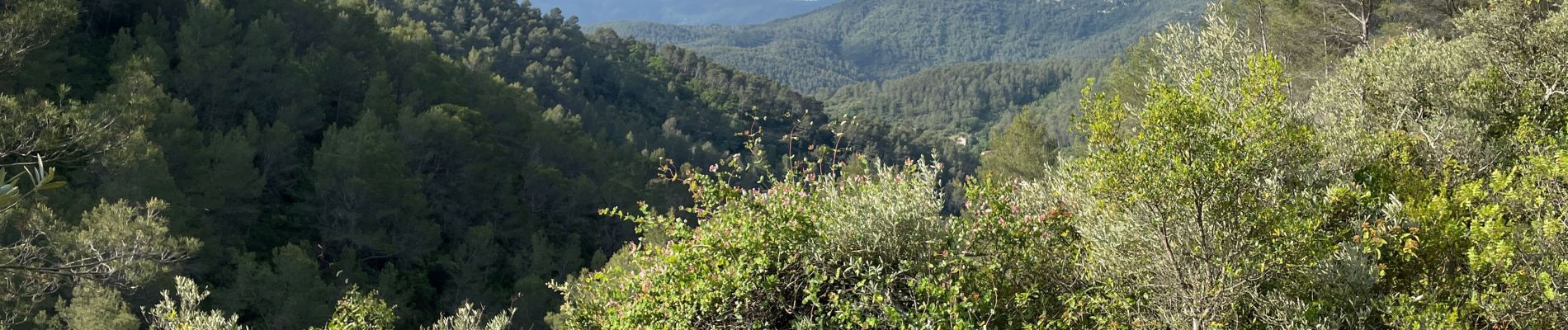 Tour Wandern Belgentier - Barre de Cuers depuis Belgentier - Photo