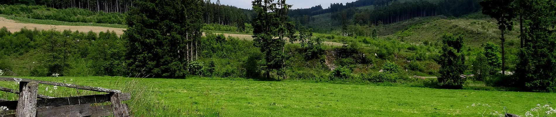 Tour Zu Fuß Bestwig - Föckinghausen Rundweg A3 - Photo