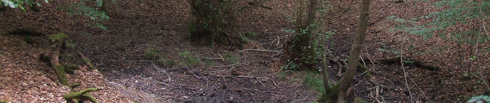 Tour Zu Fuß Butzbach - Wanderwege Hausberg - Milan - Photo