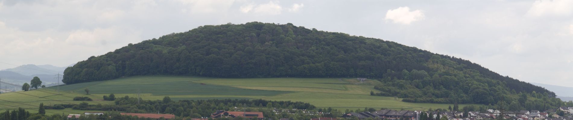 Percorso A piedi Fulda - Rundwanderweg Lotterberg - Photo