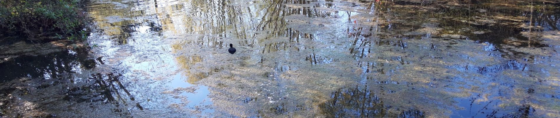 Tocht Stappen Nevers - boucle nevers - Photo