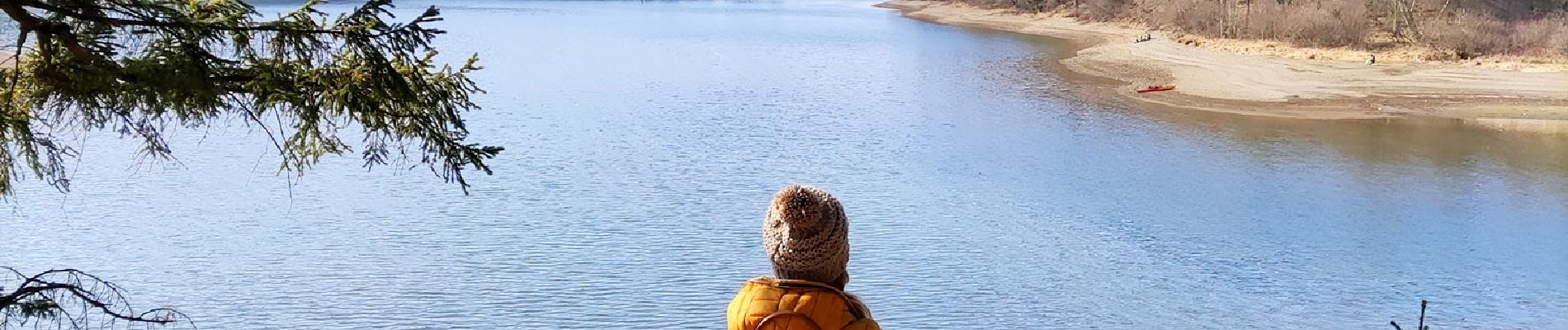 Tocht Stappen Bütgenbach - Le tour du lac de Bütgenbach  - Photo