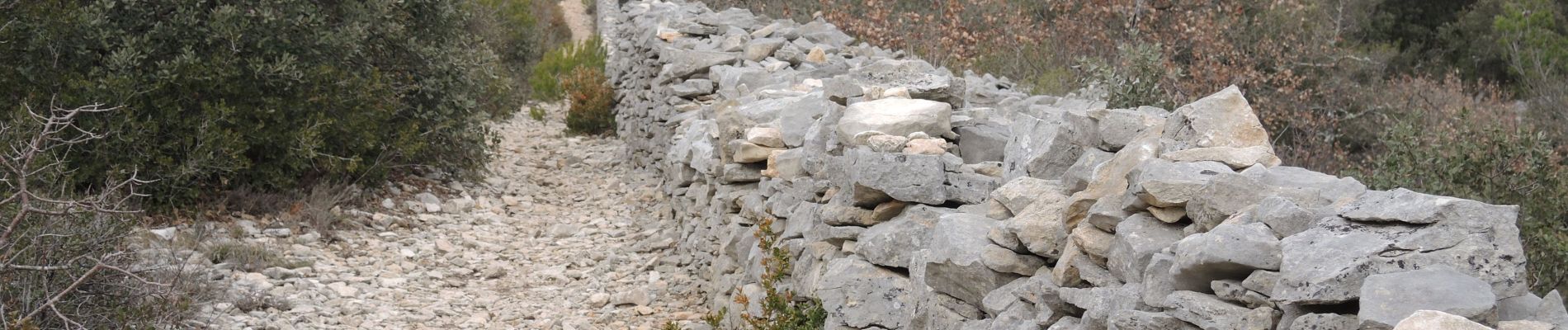 Excursión Senderismo Cabrières-d'Avignon - PF-Cabrières-d'Avignon - Le mur de la Peste - Photo