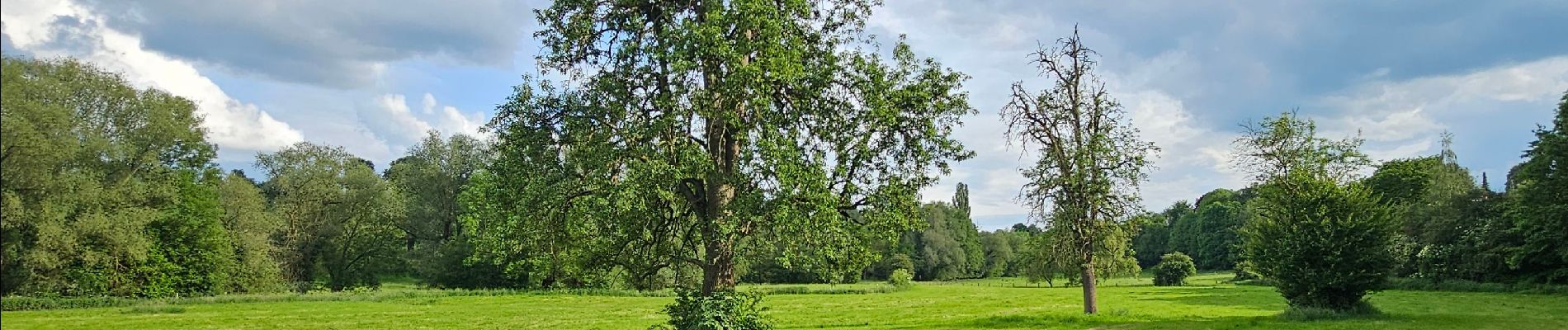 Excursión Senderismo Blegny - A travers la campagne blegnytoise 🥾 - Photo