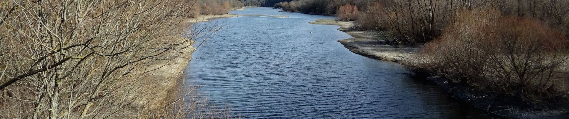 Excursión Senderismo Montauroux - Lac de St Cassien  - Photo