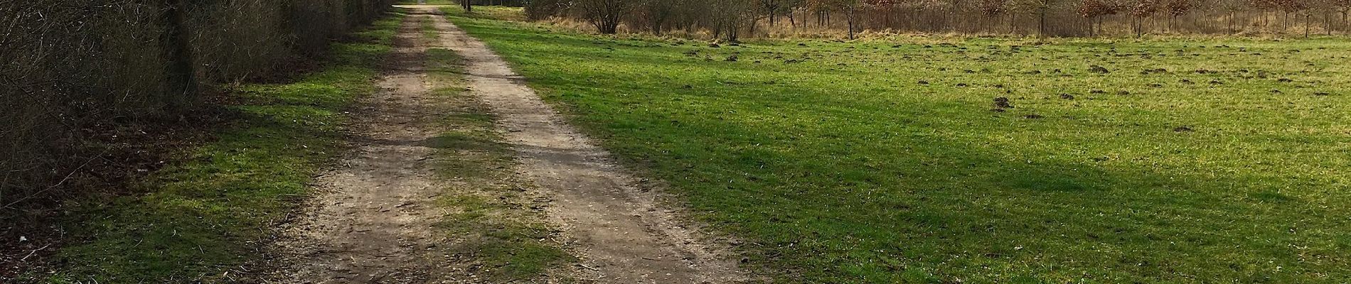 Trail On foot Unknown - Residenzweg - Photo