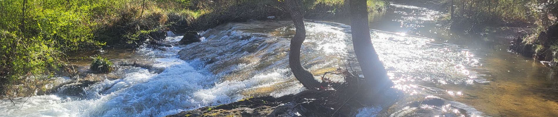 Randonnée Marche Saint-Zacharie - les sources de l'Huveaune  - Photo