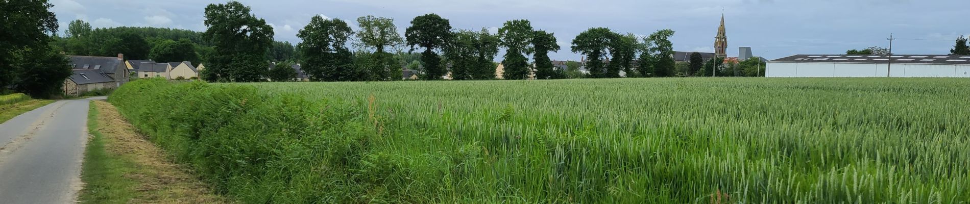 Randonnée Vélo de route Meillac - combourg gare - Photo