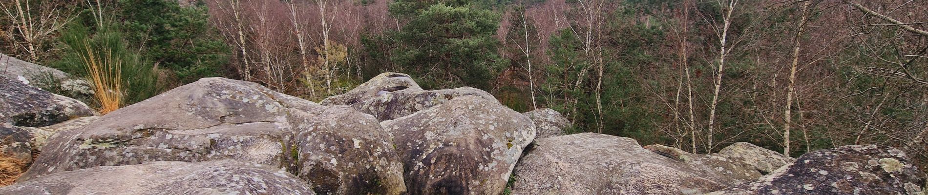 Excursión Senderismo Fontainebleau - Boucle Fontainebleau - Photo