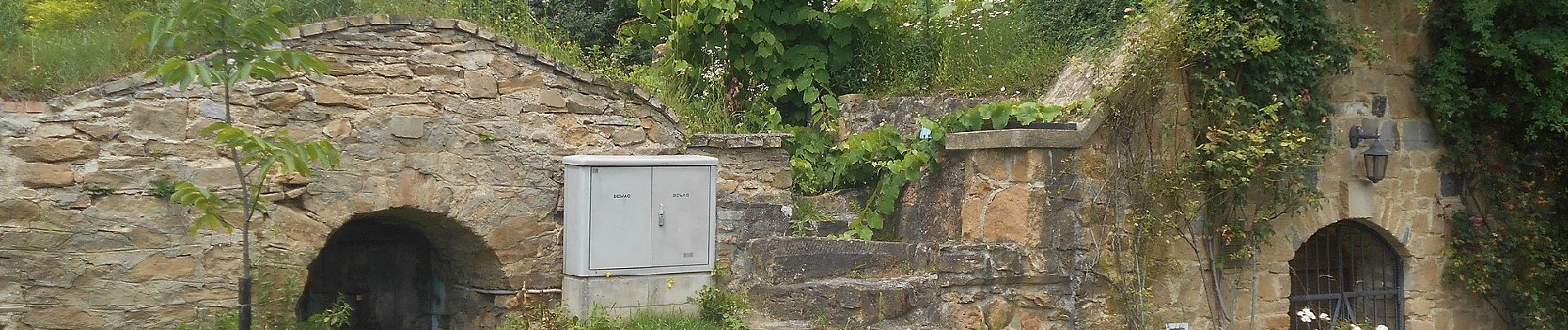 Tocht Te voet Edelstal - Feldhasenmarsch (Rundwanderweg) - Photo