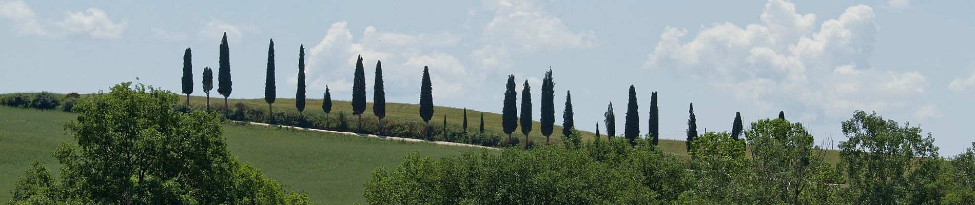 Tour Zu Fuß San Quirico d'Orcia - Bagno Vignoni - San Quirico - Photo