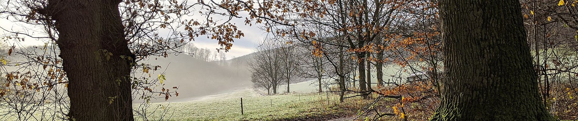 Tocht Te voet Salzhemmendorf - CO4 Pilgerweg - Photo