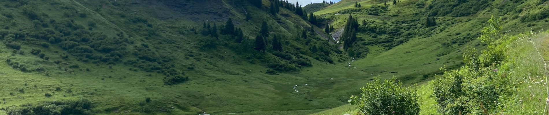 Excursión Senderismo Megève - Mont vores col very - Photo