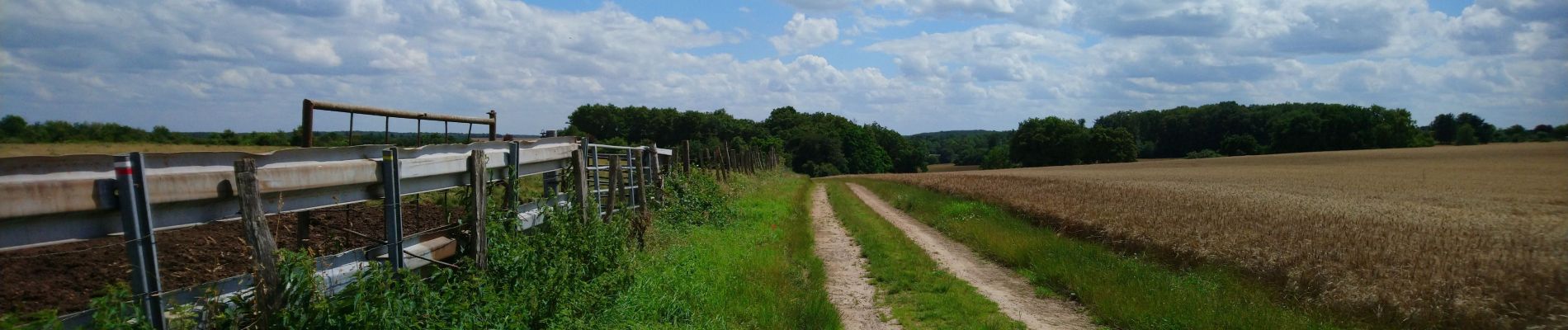 Excursión Senderismo Neuillé-le-Lierre - Neuillé-le-Lierre - Château-Renault - 25.4km 300m 5h00 (30mn) - 2019 02 16 - Photo