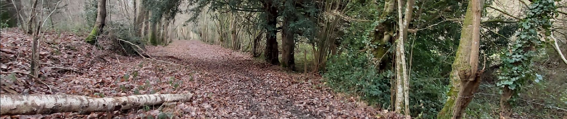 Tour Wandern Valorbiquet - St Cyr du Ronceray  - Photo