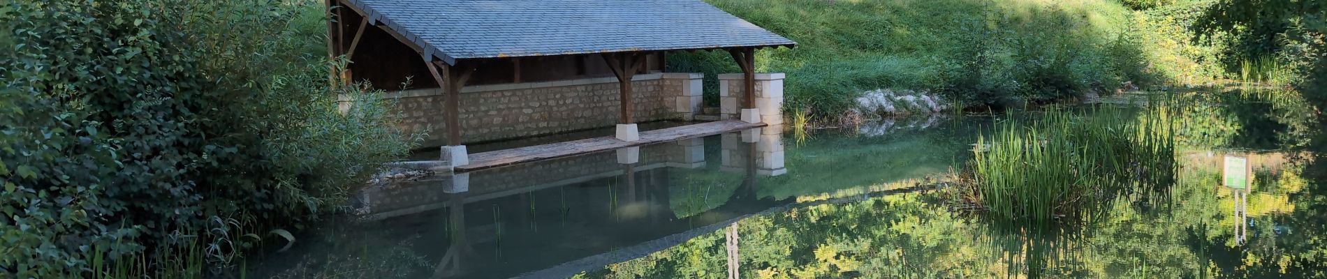 Tour Wandern Champigny-sur-Veude - Lémeré Fontaine de Jable - variante PR de Champigny-sur-Veude - 13.1km 160m 3h00 - 2024 08 25 - Photo