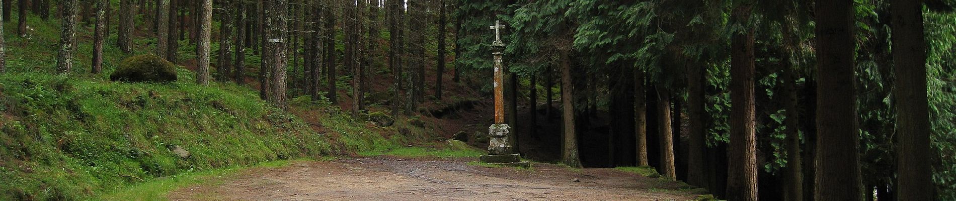 Tour Zu Fuß Montaria - Trilho da Montanha Sagrada - Photo